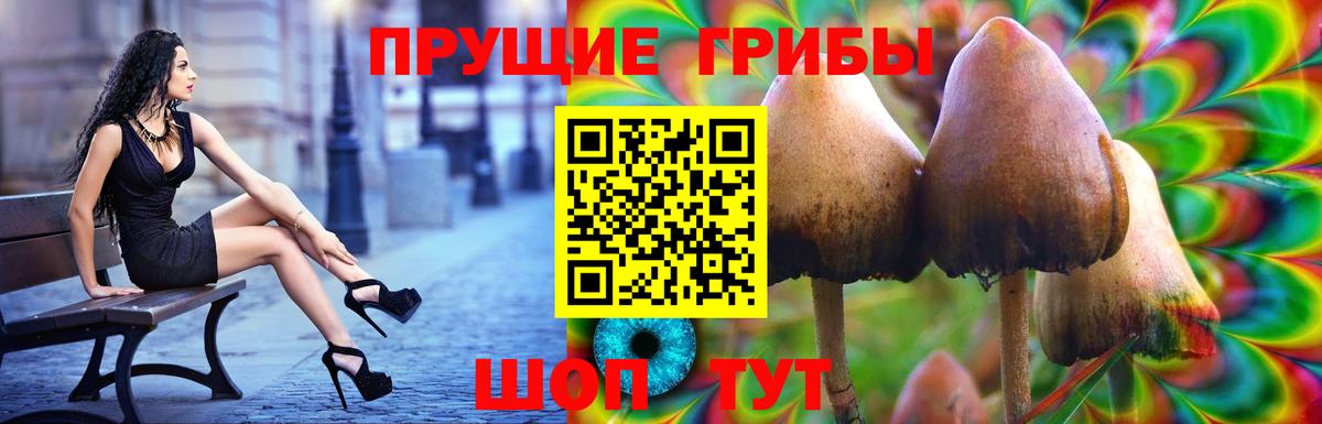 Псилоцибиновые грибы прущие грибы  Галлюциногенные грибы прущие грибы  Дивногорск  Вход с VPN 