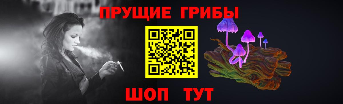 Галлюциногенные грибы Psilocybe Дивногорск